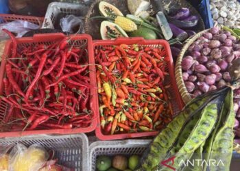Harga pangan Kamis: Cabai keriting naik Rp8.450 jadi Rp50.000 per kg