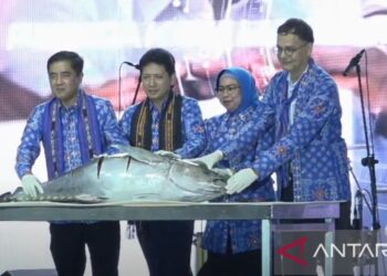 Pemprov Maluku tingkatkan produktivitas UMKM lewat digitalisasi