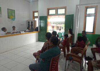 Program CKG, 16 Orang Pasien Berulang Tahun Kunjungi Puskesmas Ohoiel