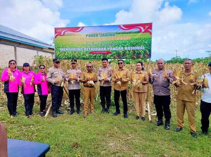 Dukung Program Asta Cita, Polres Malra panen Jagung Perdana
