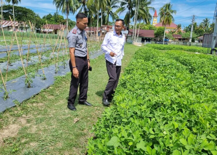 Menjadi Poros Program ketahanan Pangan, Kalapas Wahai Kunjungi Rutan Masohi
