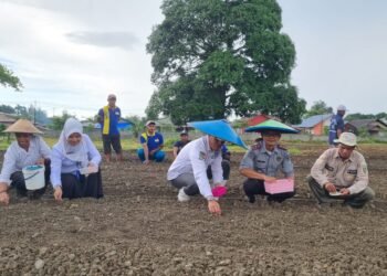 Rutan Masohi Gelar Penanaman Perdana Padi Gogo Bersama Camat Kota Masohi,Kapus Letwaru dan Lurah Letwaru