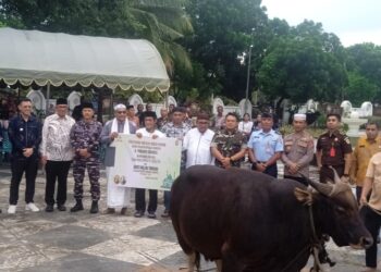 Bupati dan Wakil Bupati Malra Serahkan  Hewan Kurban