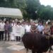 Bupati dan Wakil Bupati Malra Serahkan  Hewan Kurban