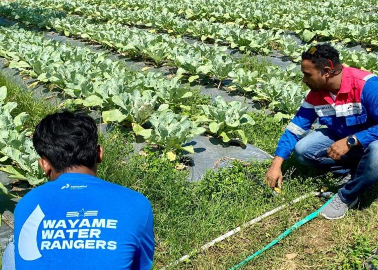 Wayame Hydro Bae, Inovasi Sosial CSR Pertamina Untuk Meningkatkan Ekonomi Masyarakat Desa Wayame Melalui Akses Air Bersih dan Pemberdayaan UMKM