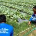 Wayame Hydro Bae, Inovasi Sosial CSR Pertamina Untuk Meningkatkan Ekonomi Masyarakat Desa Wayame Melalui Akses Air Bersih dan Pemberdayaan UMKM
