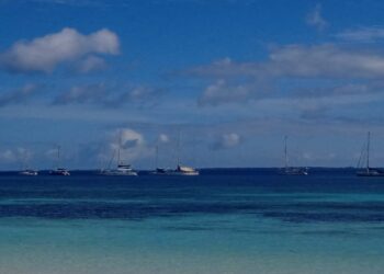 Imigrasi Tual sengaja alpa pada Iven Dunia Sail to Indonesia 2025 di Malra ?