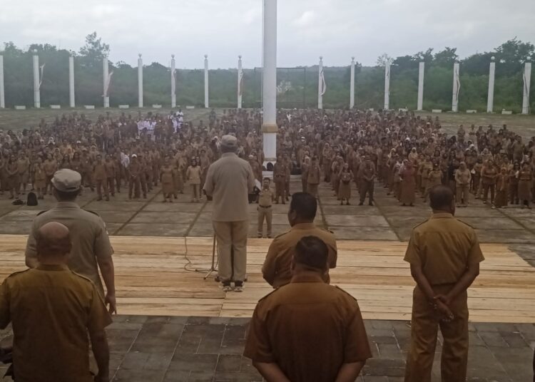 Bupati Malra Ingatkan, Segera Akui Kecurangan SK Bodong dan PPPK Siluman