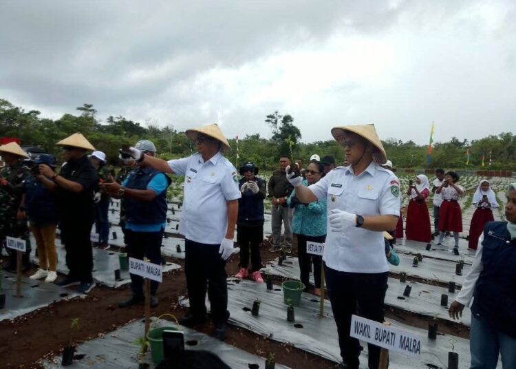 Dukung Pengendalian Inflasi Pangan, Bupati dan Wakil Bupati Ikut Tanam Cabai