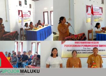 Camat TNS Tekankan Pogram Prioritas, dan Dorong Penetapan Matarumah dalam Musyawarah RKP Negeri Issu