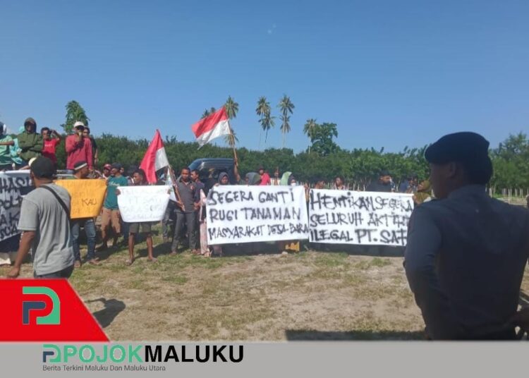 PT. SAFI Diduga Rampas Lahan Warga Bara, Hukum Mandul di Buru?