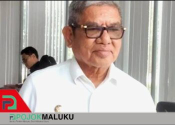 Bupati Malra Minta Perhatian Pusat Untuk Kesehatan di Wilayah Perbatasan