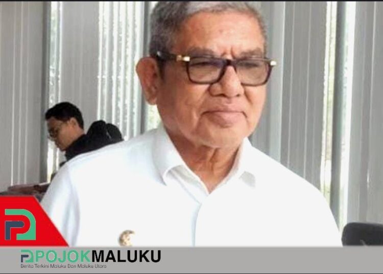 Bupati Malra Minta Perhatian Pusat Untuk Kesehatan di Wilayah Perbatasan
