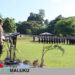 Kapolres Pimpin Apel Launching dan Pengukuhan Pamapta Polres MBD