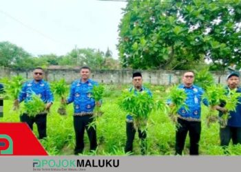 Produktif dan Mandiri, Rutan Masohi Dorong Ketahanan Pangan Lewat Panen Kangkung