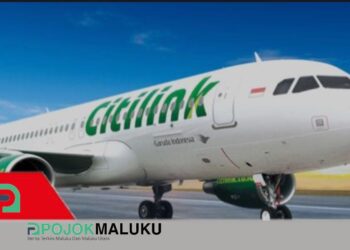 Diduga Ada Pungutan Liar, Bagasi Penumpang Ditahan, Maskapai Citilink Diminta Bertanggung Jawab