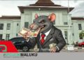 Uang Reses Cair Tunai, Bukti Fiktif, DPRD SBB Dalam Pusaran Dugaan Korupsi