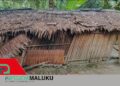 Hidup di Gubuk Tengah Hutan, Lansia 77 Tahun dan Cucu Yatim di Negeri Haria Terjebak Kemiskinan Ekstrem