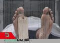 Karyawan Perusahaan Mutiara di Pulau Lik Tewas Penuh Memar, Dugaan Penganiayaan Menguat