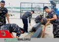 Satgas Trisila 26 Tahap I Perindah Wajah Pelabuhan Tual Lewat Aksi Bersih-Bersih