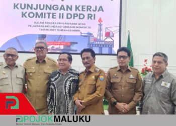 Energi untuk Negeri Kepulauan, Bupati Malra Suarakan Harapan Besar di Hadapan DPD RI